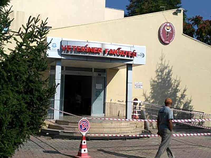 Bakı Temizlik Şirketi